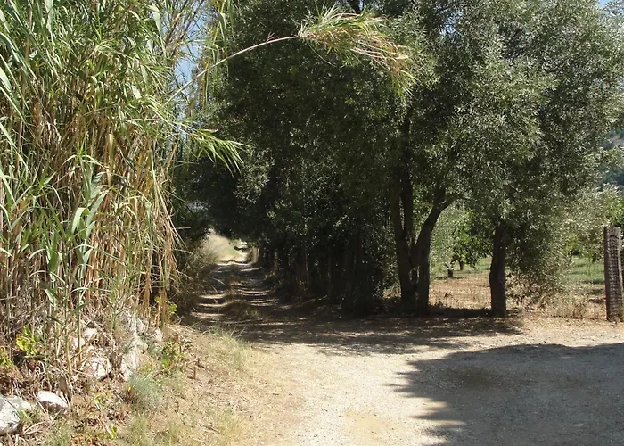 Primaluce Pizzo (Calabria)