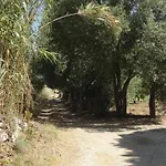 Primaluce Pizzo (Calabria)