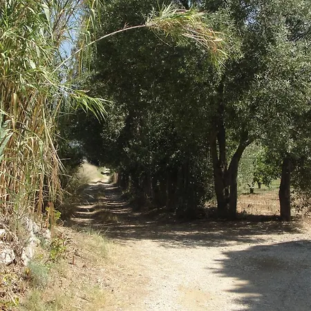 Primaluce Pizzo (Calabria)