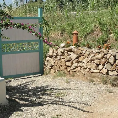 Primaluce *