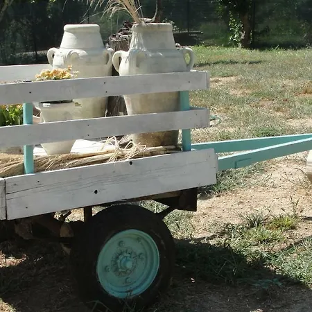 Primaluce * Πίτσο