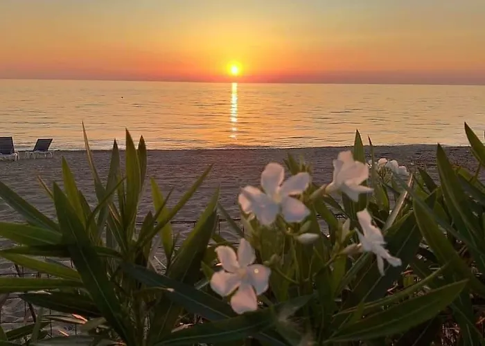 Primaluce Bed and Breakfast